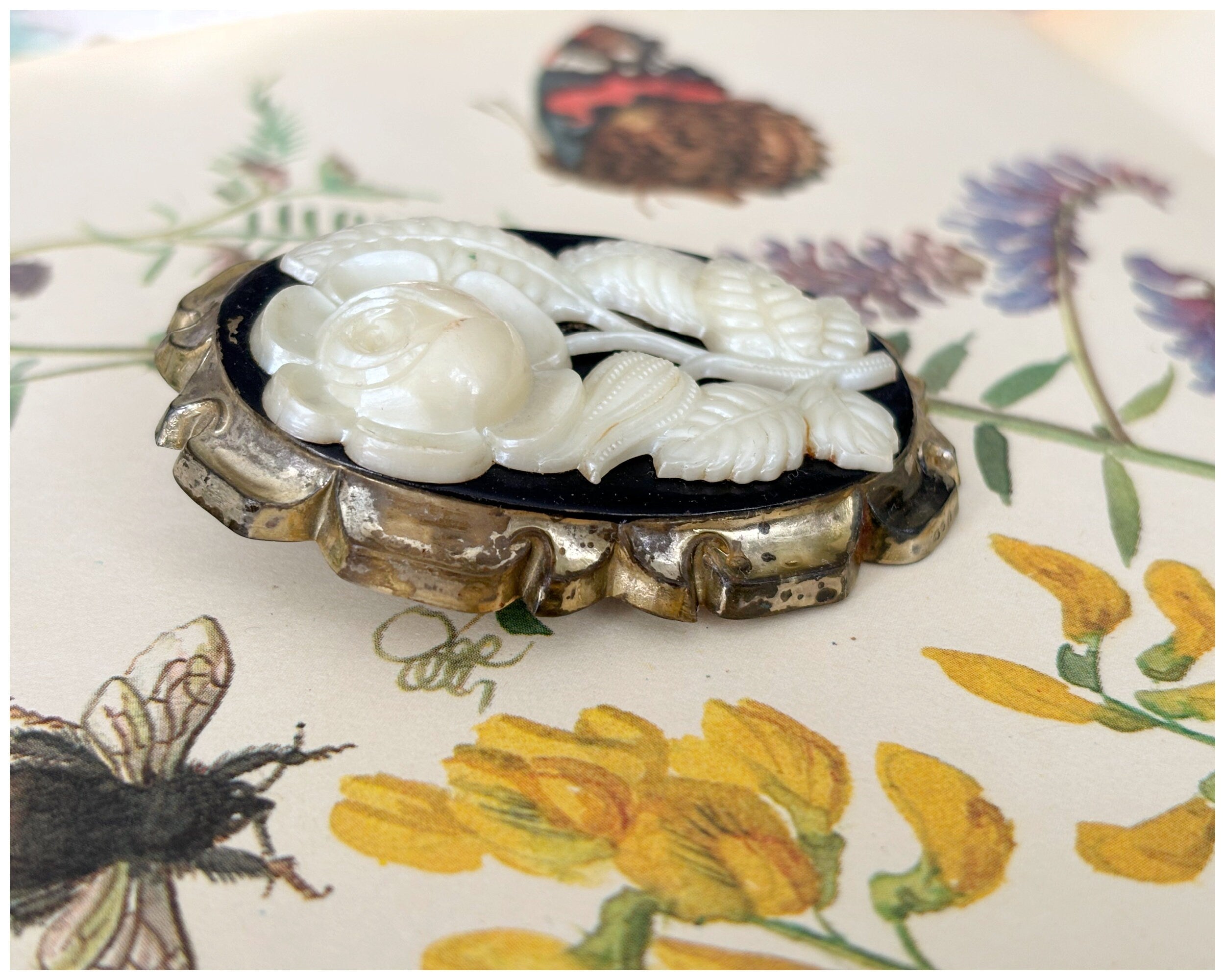 Vintage Early Plastic Moulded Rose Cameo Brooch Black Cream and Gold Celluloid?
