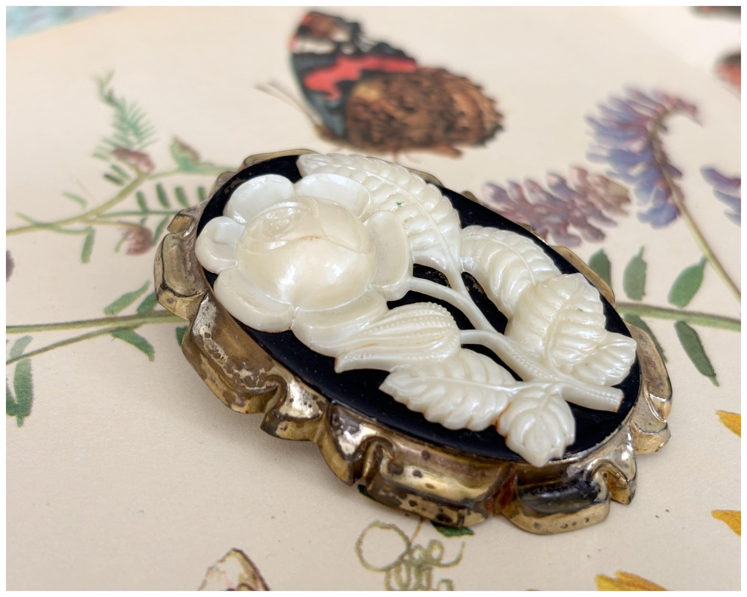 Vintage Early Plastic Moulded Rose Cameo Brooch Black Cream and Gold Celluloid?