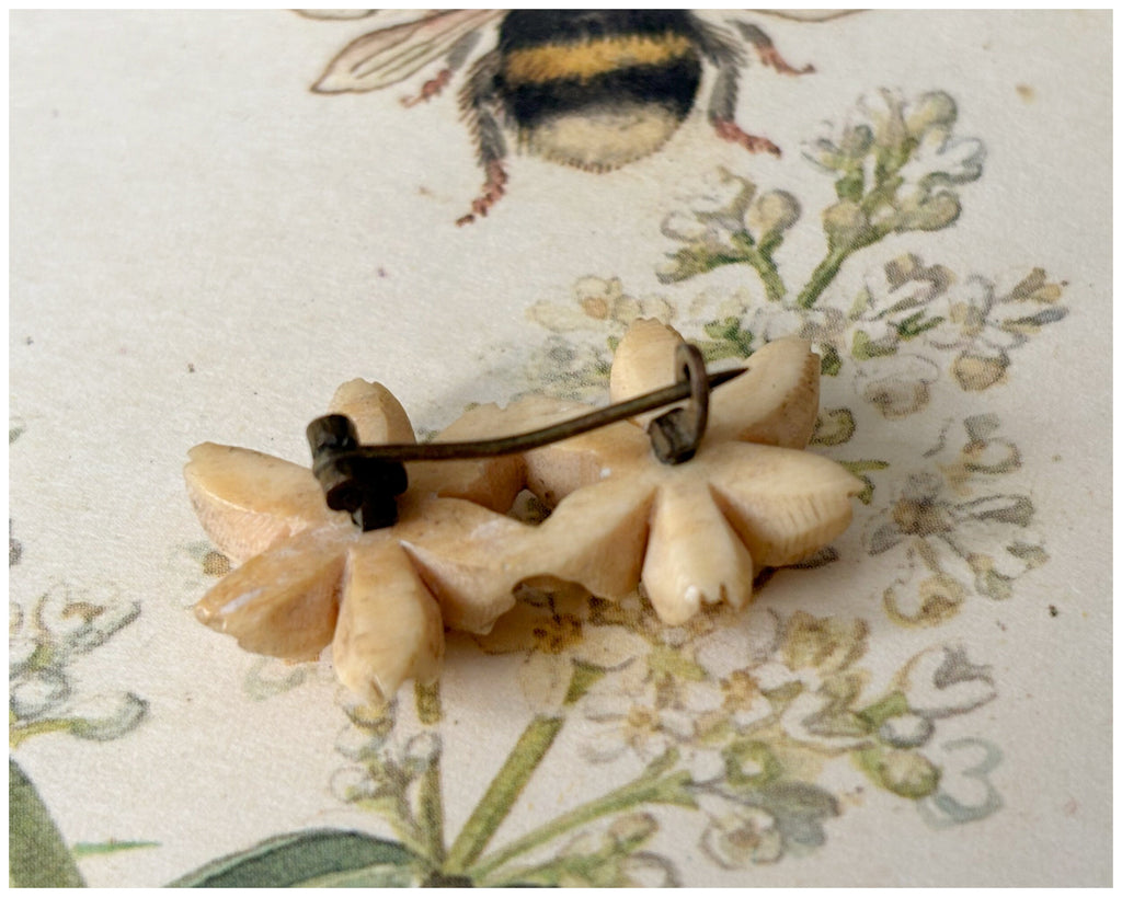 Vintage Carved Bovine Bone Alpine Edelweiss Wild Flower Brooch Pair