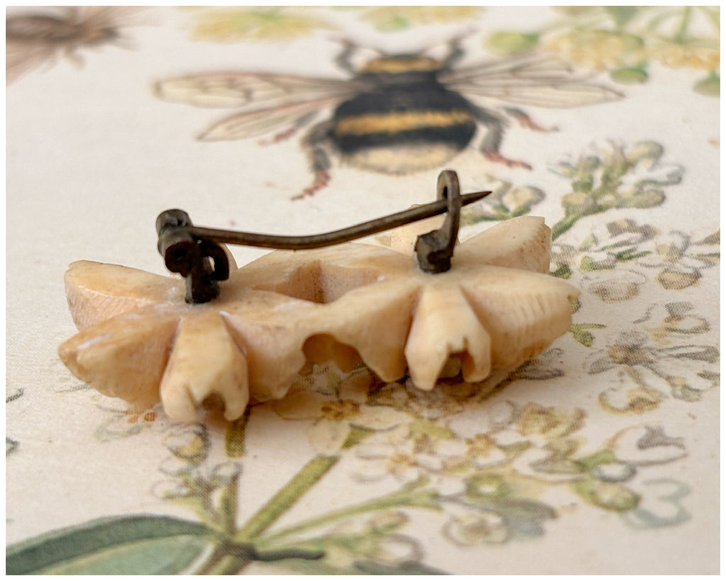 Vintage Carved Bovine Bone Alpine Edelweiss Wild Flower Brooch Pair